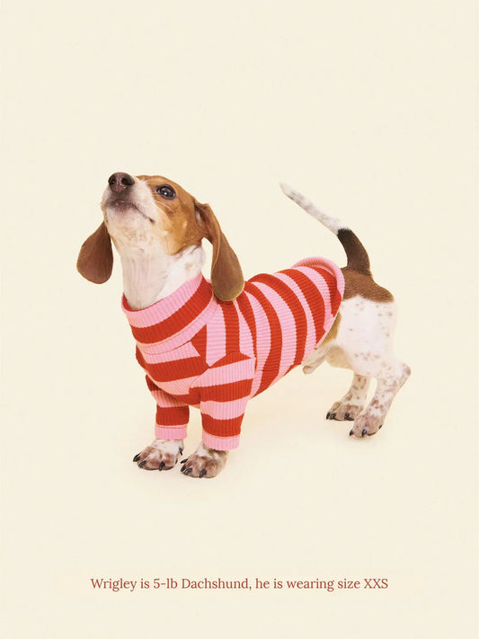 Kiss Me Ribbed Dog Shirt