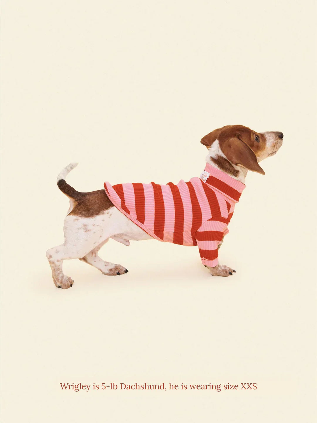 Kiss Me Ribbed Dog Shirt